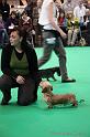 Crufts2011_2 518